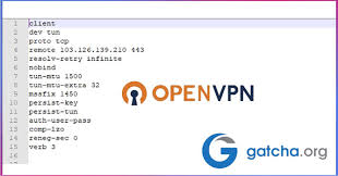 Maybe you would like to learn more about one of these? Cara Membuat Config Openvpn Untuk Trik Internet Gratis Gatcha Org
