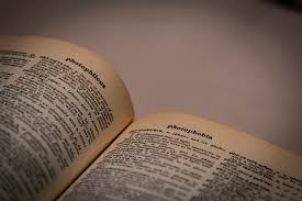 Even though dark academia leans a little to the spooky side, plants are still essential to the aesthetic, as it is for its lighter cousin, cottagecore. Hd Wallpaper Opened Beige Book Old Book Reading Book Vintage Book Dictionary Wallpaper Flare