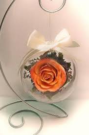 We did not find results for: Freeze Dried Flowers Freeze Dried Flowers Dried Flowers Diy How To Preserve Flowers