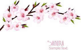 Check spelling or type a new query. Sakura Free Vector Download 62 Free Vector For Commercial Use Format Ai Eps Cdr Svg Vector Illustration Graphic Art Design
