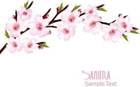 We did not find results for: Sakura Free Vector Download 62 Free Vector For Commercial Use Format Ai Eps Cdr Svg Vector Illustration Graphic Art Design