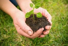 Hoje é 28 de julho, o dia do agricultor. 10 Musicas Em Homenagem Ao Dia Do Agricultor Maryjuana