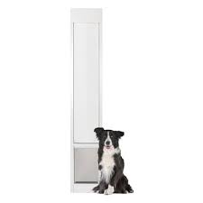 Premium pet doors is a pet door supplier near me offering your pet a safe and easy way in and out. Pet Doors At Lowes Com