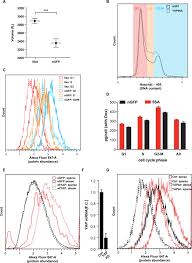 Check spelling or type a new query. Yap Regulates Cell Size And Growth Dynamics Via Non Cell Autonomous Mediators Elife