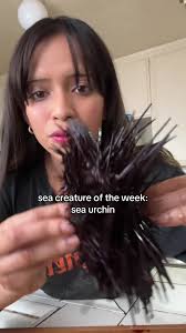 Sea Urchin Halloween Special: Spooky Sea Creatures Unveiled!