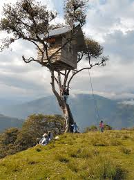 E' per questo motivo che i kit per costruire una. Torna Bambino E Divertiti A Costruire La Tua Casa Sull Albero Idee Interior Designer
