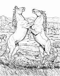 Wild horse free printable horse coloring pages. Wild Horse Coloring Pages Wild Horse Animal Coloring Page Or Download Fighting Wild Horse Horse Coloring Pages Animal Coloring Pages Horse Coloring