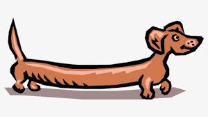 Cartoon library, fully catalogued and searchable, instant downloads. Vector Illustration Of Cartoon Wiener Dog Dachshund Weiner Dog Clip Art Hd Png Download Transparent Png Image Pngitem