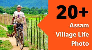 Maybe you would like to learn more about one of these? 20 Assam Village Life Captured In A Lens A Glimpse Into Assamese Lifestyle Jonakaxom Assamese Quotes Blogging Business Ideas Tips And Tricks