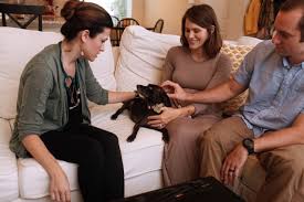 Serving onondaga, cayuga, cortland, tompkins, schuyler, seneca, chemung, tioga and parts of oswego, wayne, yates, madison, broome, ontario, steuben. In Home Euthanasia Lap Of Love