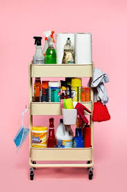 I Like The Idea Of Using Another One Of These Carts To Store Cleaning Tools Etc In The Entry Closet Ikea Raskog Putzmittel Organisieren Raskog Warenkorb