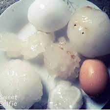 حبات البرد مثل حبة بيض الجلفة العاصمة الامطار فياضنات الجزائر algerie alger algeria breakfast food eggs