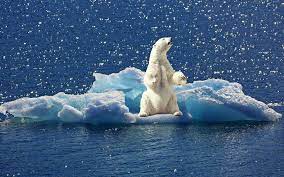 Les conséquences pour la société. Les Impacts Du Rechauffement Climatique S Accelerent