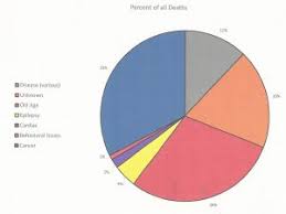 2017 Ashgi Australian Shepherd Longevity Survey Australian Shepherd Health Genetics Institute