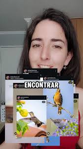 Aprendiste algo?? Comenta qué especie quieres conocer 👇🏽👇🏽🤓  📸Fotografías: @jacobo_fauna @julia.aviles.m #faunasilvestre #fauna  #faunaparachile #educacionambiental #chile #avesdechile #vidasilvestre