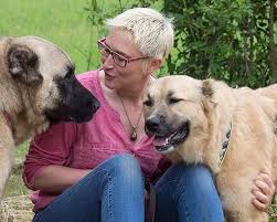 Das allein wird ihn schon motivieren, zu dir zu sehen. Welpen Erziehen 25 Tipps Zur Schnellen Welpenerziehung Hundekumpel