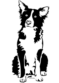 Border collie, scottish sheepdog dog digital art illustration isolated on white background. 81 Border Collie Art Ideas Border Collie Art Collie Border Collie