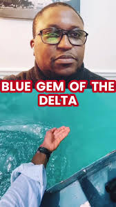 My Fun Facts about Nigeria Series continues: Today, I'm taking y'all to the  Niger Delta! The River Ethiope, which ranges from 50km to 160km in length,  is located in Delta State, Nigeria, and is widely ...