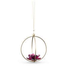 We did not find results for: Garden Tales Rose Ball Ornament Large Swarovski Com