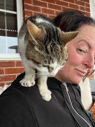 Alayna Benjamin's Instagram, Twitter & Facebook