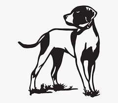 On the other hand an entirely different thing is if you attempt to draw a real bird or to make a real bird drawing from photo, which. English Setter Pointer Hunting Dog Bird Dog Bird Dog Drawing Hd Png Download Transparent Png Image Pngitem