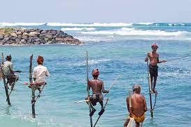 You can easily combine relaxation sessions on the beach with visits to the numerous sights. Best Beaches In Sri Lanka Discover Our Recommendations