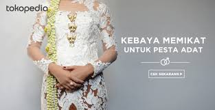 Susunan Acara Ritual Dan Prosesi Pernikahan Adat Lampung