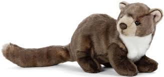 Image result for kuna lesní obrázky