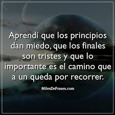 Pin En Frases