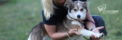 Sarah Mackeigan Upward Dog Rehab Wellness Home Facebook