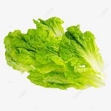 Check spelling or type a new query. Lebensmittelzutaten Gemusesalat Salat Clipart Salat Grunes Gemuse Png Bild Und Clipart Zum Kostenlosen Download
