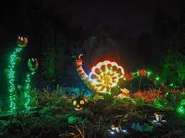 Little Hiccups Glow At The Gardens Denver Botanic Gardens Ghost And Ghouls Glow Spooky Music