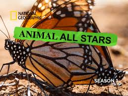 Episode the loud house musim 1. Prime Video Animal All Stars Season 1