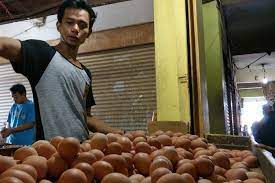 Panduan lengkap usaha peternakan ayam petelur, ayam ketawa, ayam mutiara ayam petelur ringan ini mempunyai badan yang ramping dan bulunya berwarna putih bersih dan berjengger merah. Dilarang Dijual Di Pasar Apa Itu Telur Ayam Infertil Halaman All Kompas Com