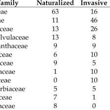 Image result for Megalochlamys hamata