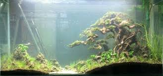 Available in many file formats including max. Aquarium Bonsai Aquatic Supply Vn Home Facebook