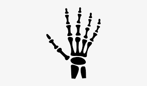 Check spelling or type a new query. Human Hand Bones Vector Skeleton Hand Cartoon Png Image Transparent Png Free Download On Seekpng