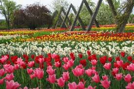 Mach mit und verpasse nichts in deiner nachbarschaft. Freizeit Ausflugsort Britzer Garten