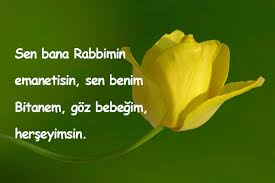 Kadina Iltifat Sozleri Guzel Sozler Guzel Mesajlar Guzel Soz Kadin Mesajlar