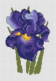 We did not find results for: Iris Flower Free Cross Stitch Pattern Cross Stitch Flowers Cross Stitch Designs Counted Cross Stitch Patterns Free