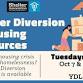 Shelter Diversion & Housing Resources at YDL event in Ypsilanti, MI