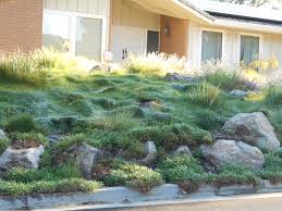 Bay area design & landscape has designed and installed over 2000 gardens in the last 40+ years. San Francisco Bay Area Placer County Native Plant Photo Ideas