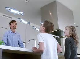 holographic food, brain kitchenware