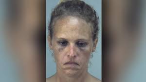 Cops: Meth lab, 2 children found in home, woman arrested