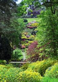 Leonardslee Gardens West Sussex Uk View With Multi Colored Flowering Azaleas Across Small Lake Towards House 16 Of 19 Beautiful Gardens Gorgeous Gardens Famous Gardens