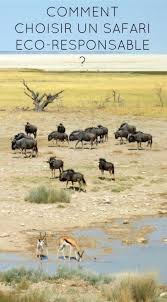 Account Suspended Safari Voyage Tanzanie Voyage En Afrique