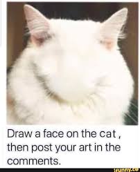 Draw A Face On The Cat Then Post Your Art In The Comments Ifunny Funny Cat Memes Funny Animal Memes Funny Animals