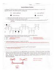 Genetics monohybrid crosses worksheet answer key, pedigree practice problems worksheet and. Kami Export Beatriz Passos Genetics Pedigree Worksheet Pdf Name Genetics Pedigree Worksheet A Pedigree Is A Chart Ofa Person S Ancestors That Is Course Hero