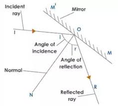 Lakhmir Singh Science Class 8 Solutions Chapter 16 Light Learn Cbse Learncbse Lakhmirsinghscienceclass8solutions Ch Class 8 Science Class Light Reflection