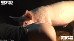 Sweet female opens her pussy and receives a cunnilingus by pig